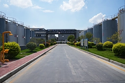 Tank Area